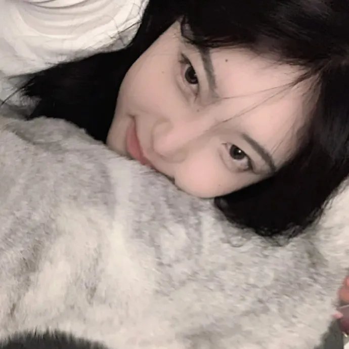 双子谜情